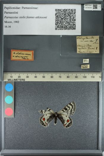Media type: image;   Entomology 180356